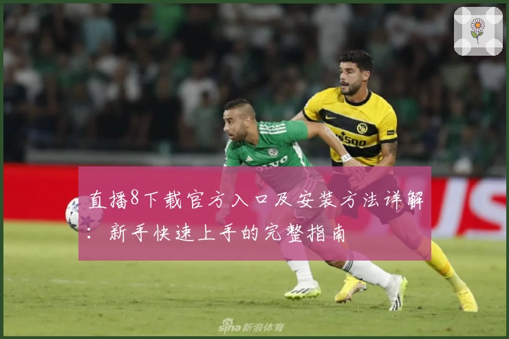 直播8下载官方入口及安装方法详解：新手快速上手的完整指南